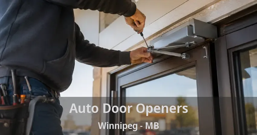 Auto Door Openers Winnipeg - MB