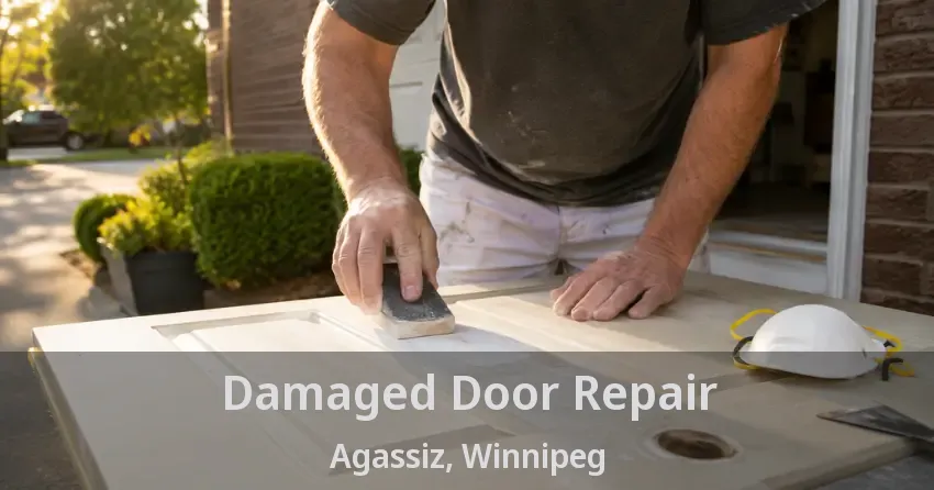 Damaged Door Repair Agassiz, Winnipeg - MB