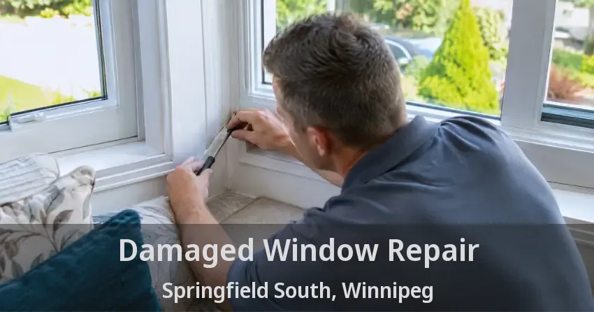 Damaged Window Repair Springfield South, Winnipeg - MB