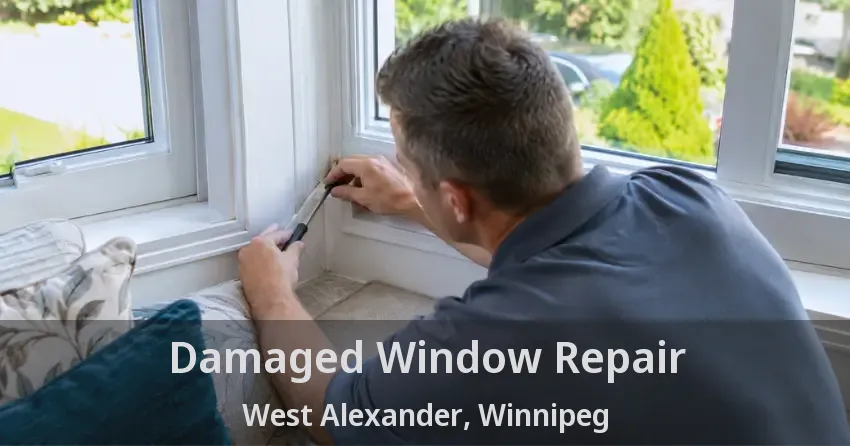 Damaged Window Repair West Alexander, Winnipeg - MB
