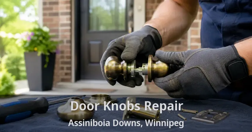 Door Knobs Repair Assiniboia Downs, Winnipeg - MB