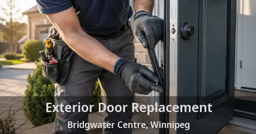 Exterior Door Replacement Bridgwater Centre, Winnipeg - MB