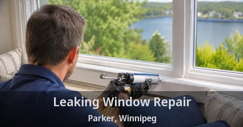 Leaking Window Repair Parker, Winnipeg - MB