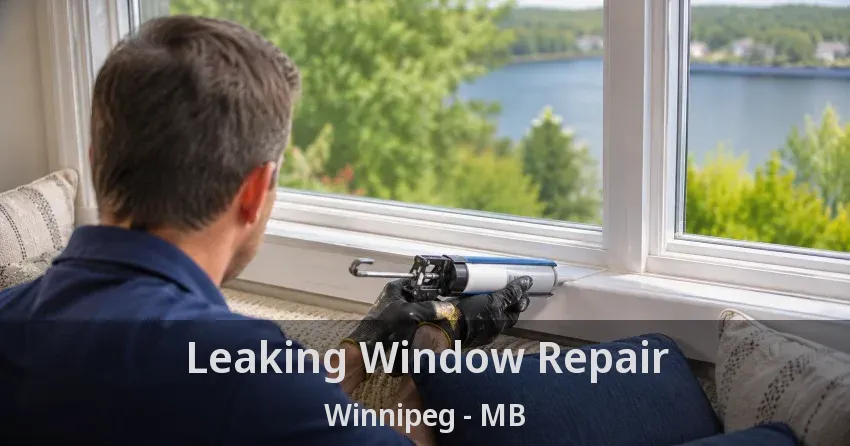 Leaking Window Repair Winnipeg - MB