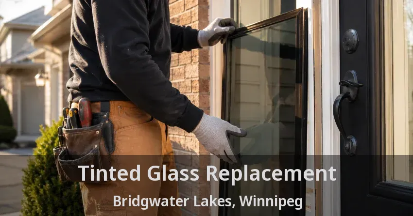 Tinted Glass Replacement Bridgwater Lakes, Winnipeg - MB