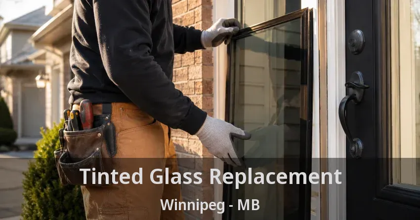 Tinted Glass Replacement Winnipeg - MB