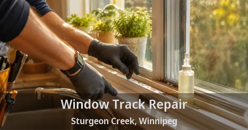 Window Track Repair Sturgeon Creek, Winnipeg - MB